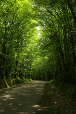 Route du Morvan © Multimédia & Tourisme 