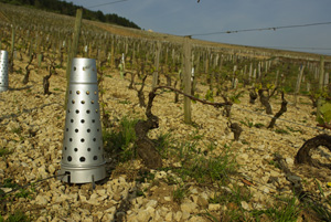 Vignoble de Chablis - Chauferette © 