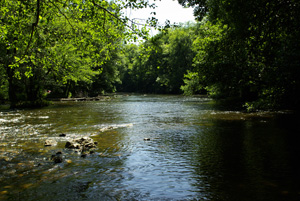 La Cure dans le Morvan © 