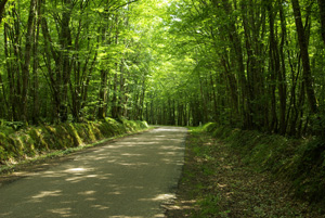 Route du Morvan © 